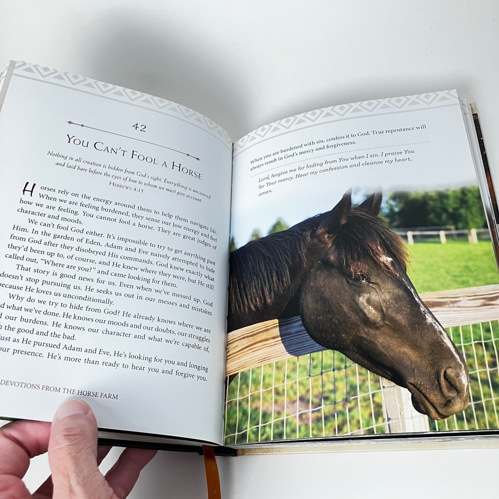 Thomas Nelson Book 100 Devotions from Horse Farm Cara Whitney Hardcover Brown - Picture 12 of 13